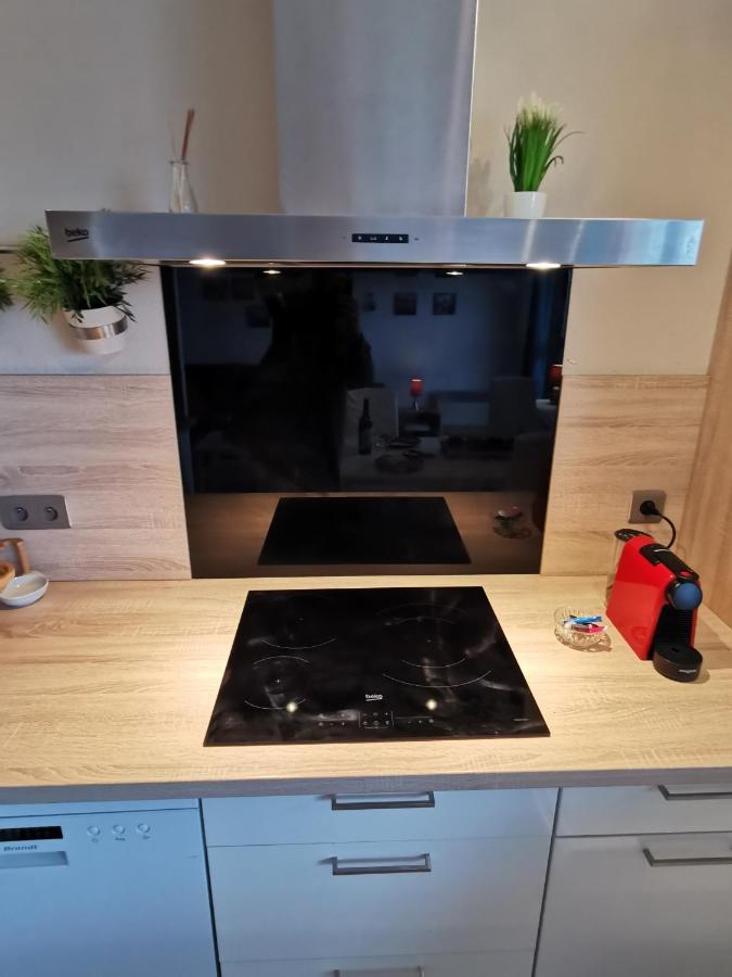 Le Duplex - Hyper Centre - Gare - Wifi - Netflix - Disney + Annecy Kültér fotó