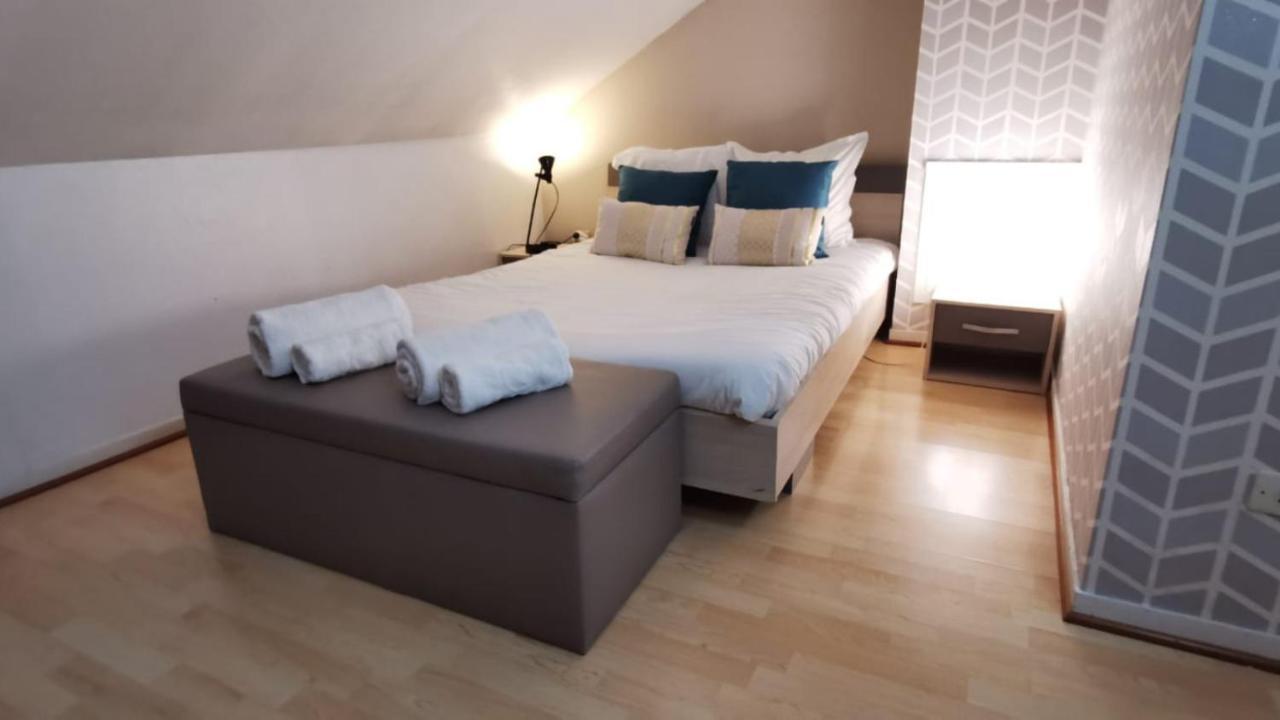 Le Duplex - Hyper Centre - Gare - Wifi - Netflix - Disney + Annecy Kültér fotó